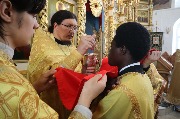 IMG_4334.JPG