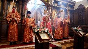 IMG_5677.jpg