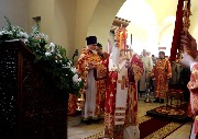 IMG_5672.jpg