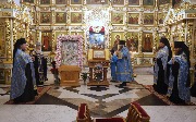 IMG_6031.jpg