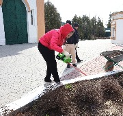 Обрезка кустарников