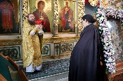 IMG_3594.JPG