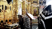 IMG_2950.jpg