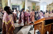IMG_2482.JPG