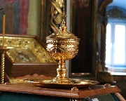 IMG_1378.JPG