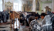 IMG_2628.jpg