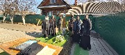 IMG_3061.jpg