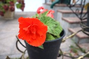 IMG_1398.JPG