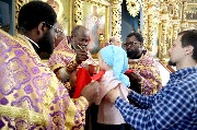 IMG_3516.JPG