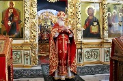 IMG_6380.jpg
