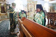 IMG_1884.JPG